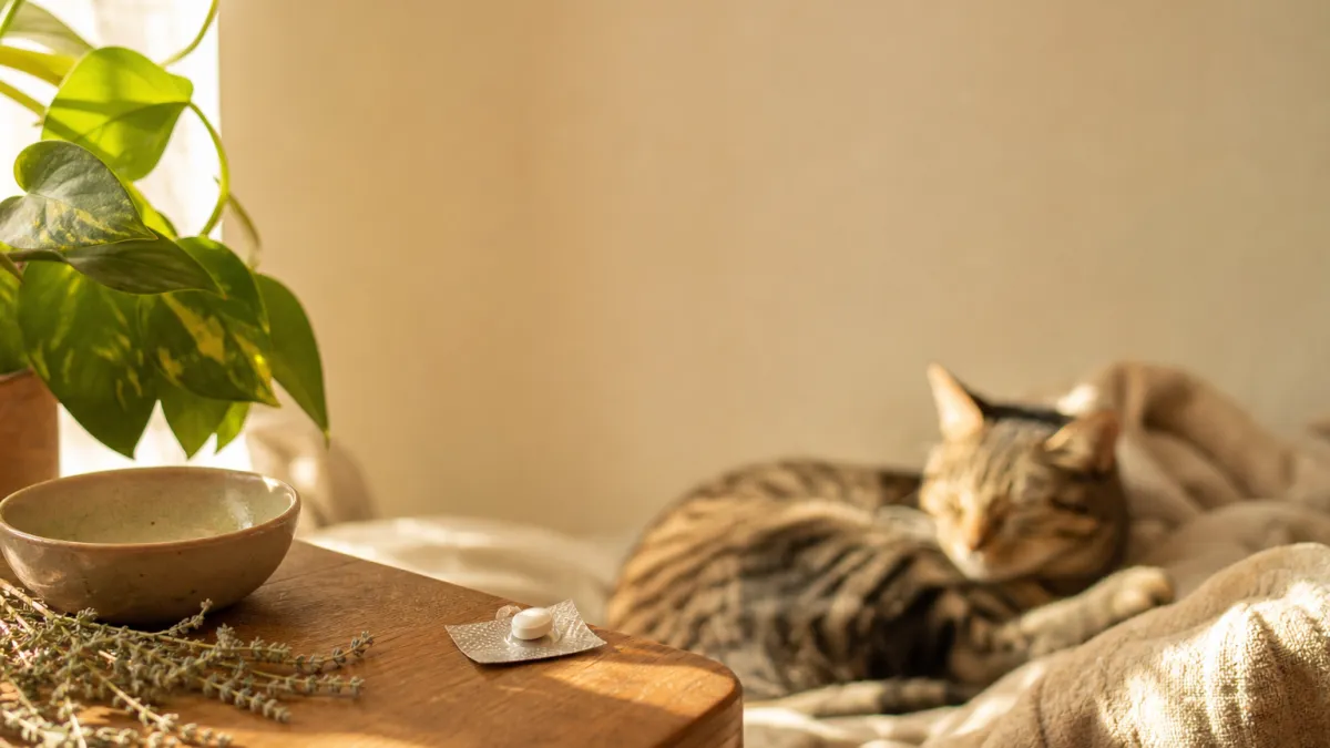 Credelio chat : efficacité, posologie et effets secondaires